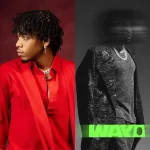 Tekno – Wayo