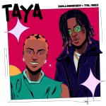 Dwillsharmony – Taya Ft. TML Vibez